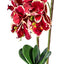 Orhidee 3 fire cu aspect natural in ghiveci oval ceramica alb, H 50 cm