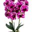 Orhidee 3 fire cu aspect natural in ghiveci oval ceramica alba, H 50 cm