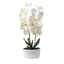 Orhidee 3 fire cu aspect natural in ghiveci oval din ceramica alba, 50 cm