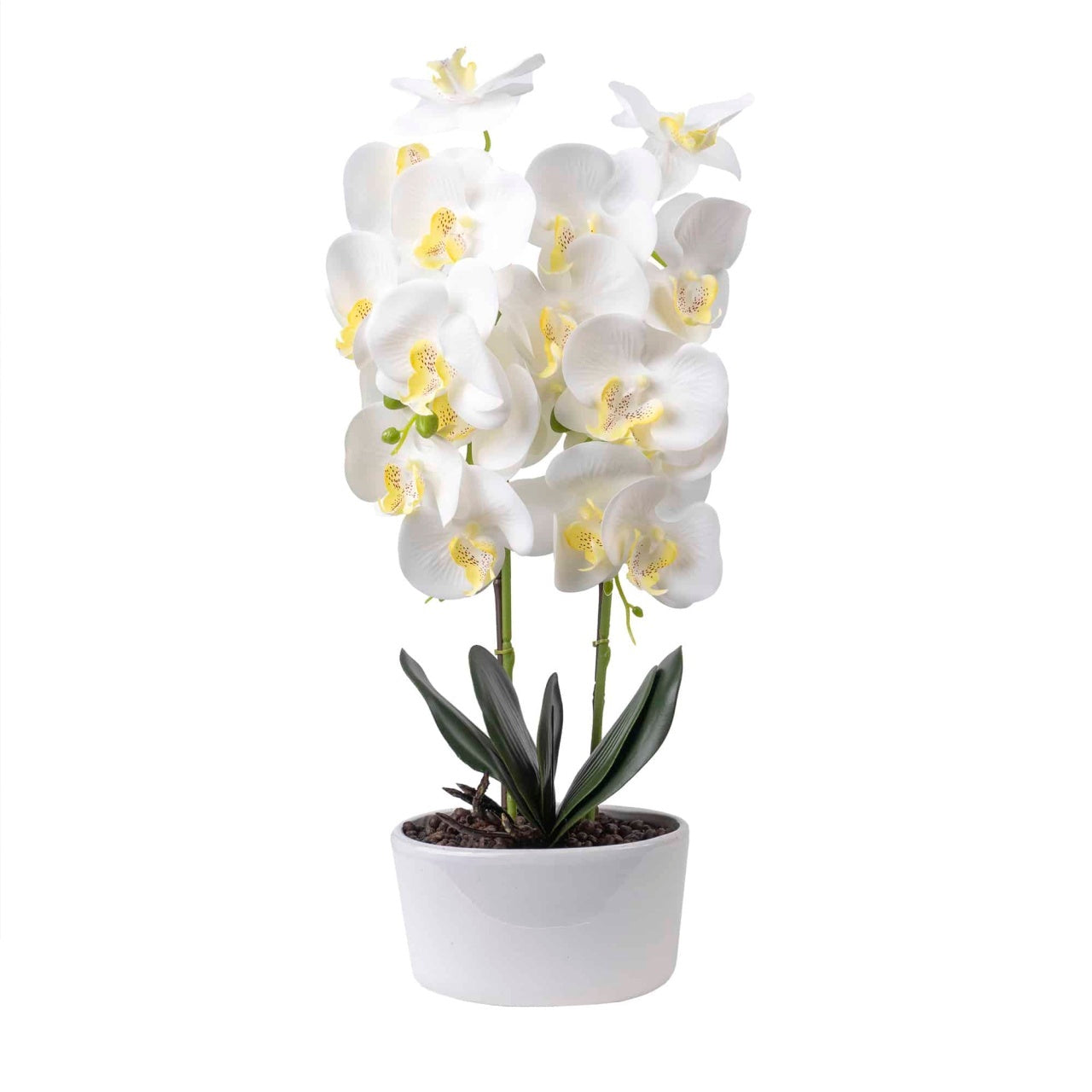 Orhidee 3 fire cu aspect natural in ghiveci oval din ceramica alba, 50 cm