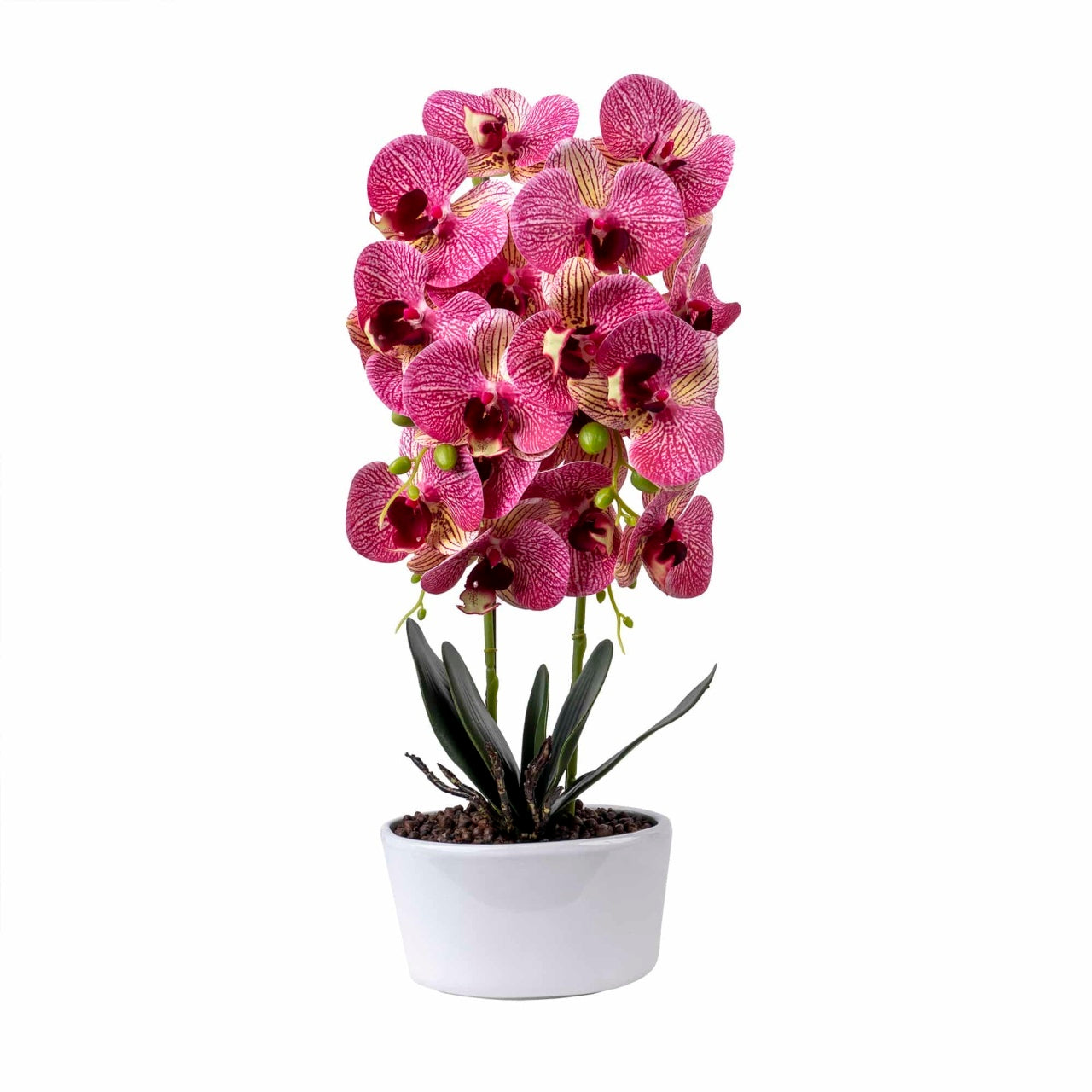 Orhidee 3 fire cu aspect natural in ghiveci oval din ceramica alba, 50 cm