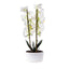 Orhidee 3 fire cu aspect natural in ghiveci oval din ceramica alba, 50 cm