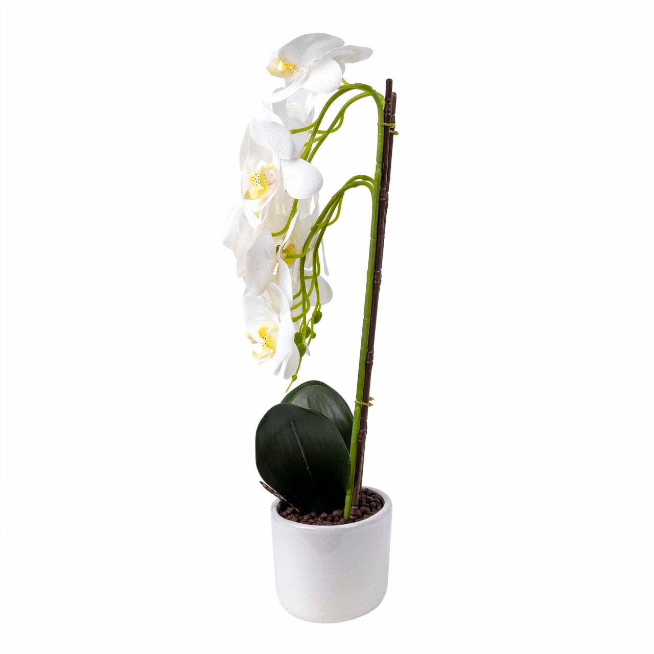 Orhidee 3 fire cu aspect natural in ghiveci oval din ceramica alba, 50 cm