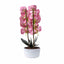 Orhidee 3 fire cu aspect natural in ghiveci oval din ceramica alba, 50 cm