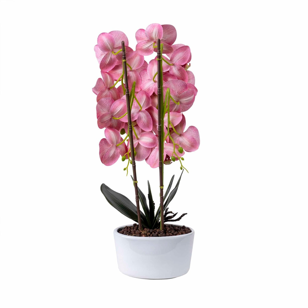 Orhidee 3 fire cu aspect natural in ghiveci oval din ceramica alba, 50 cm