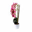 Orhidee 3 fire cu aspect natural in ghiveci oval din ceramica alba, 50 cm