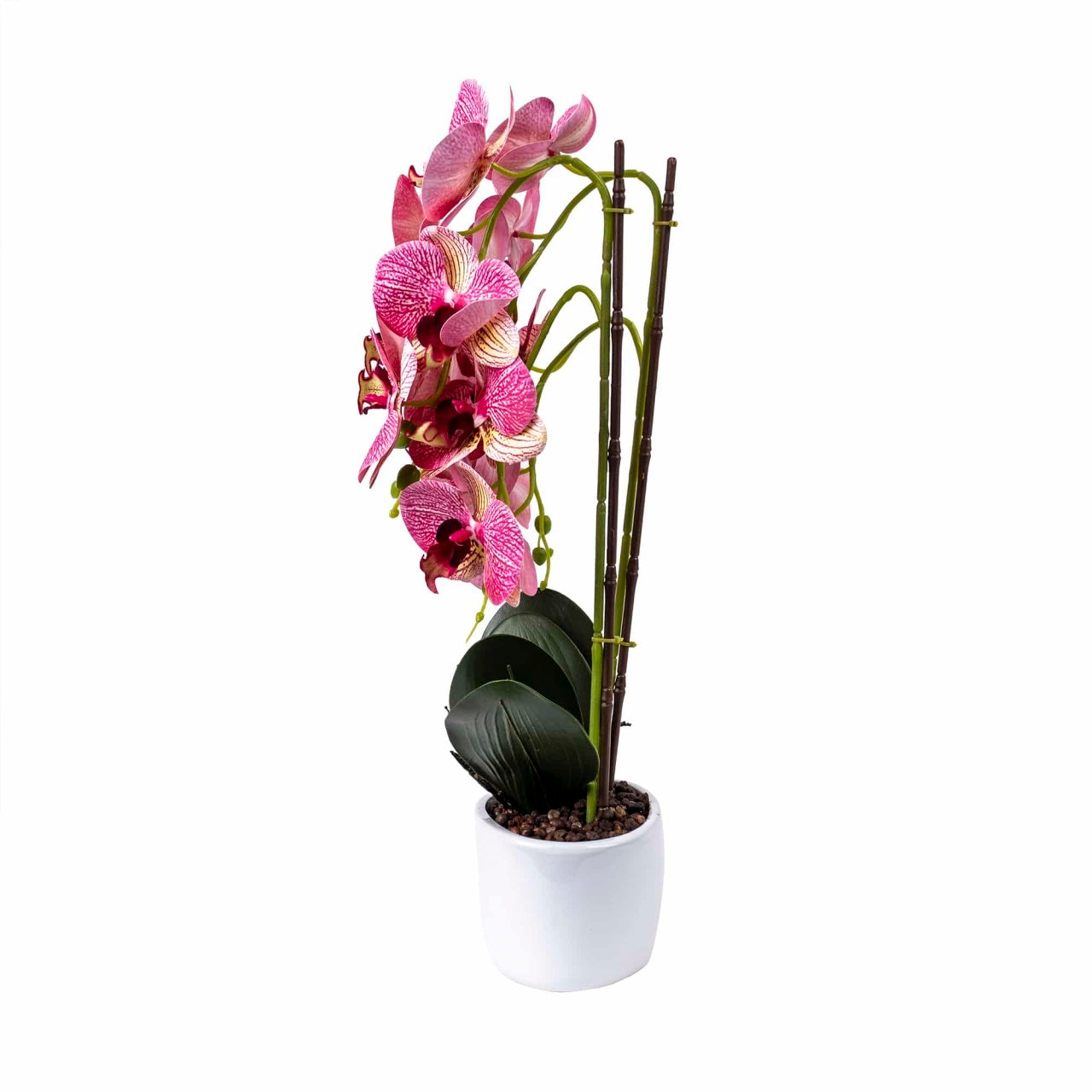 Orhidee 3 fire cu aspect natural in ghiveci oval din ceramica alba, 50 cm