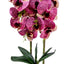 Orhidee 3 fire cu aspect natural in ghiveci oval din ceramica alba, 50 cm