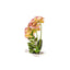 Orhidee artificiala in ghiveci ceramic alb, H 33 cm, cu aspect natural