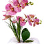 Orhidee artificiala in ghiveci ceramic alb, H 40 cm, aspect natural