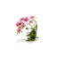 Orhidee artificiala in ghiveci ceramic alb, inaltime 33 cm, aspect natural