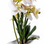 Orhidee artificiala in ghiveci ceramic alb, inaltime 40 cm, aspect natural