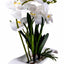 Orhidee artificiala in ghiveci ceramic alb, inaltime 40 cm, aspect natural