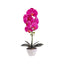 Orhidee artificiala in ghiveci ceramic alb, inaltime 47 cm, aspect natural