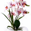 Orhidee artificiala in ghiveci ceramica alb, H 40 cm, aspect natural