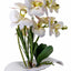 Orhidee artificiala in ghiveci dreptunghiular ceramic alb, inaltime 40 cm