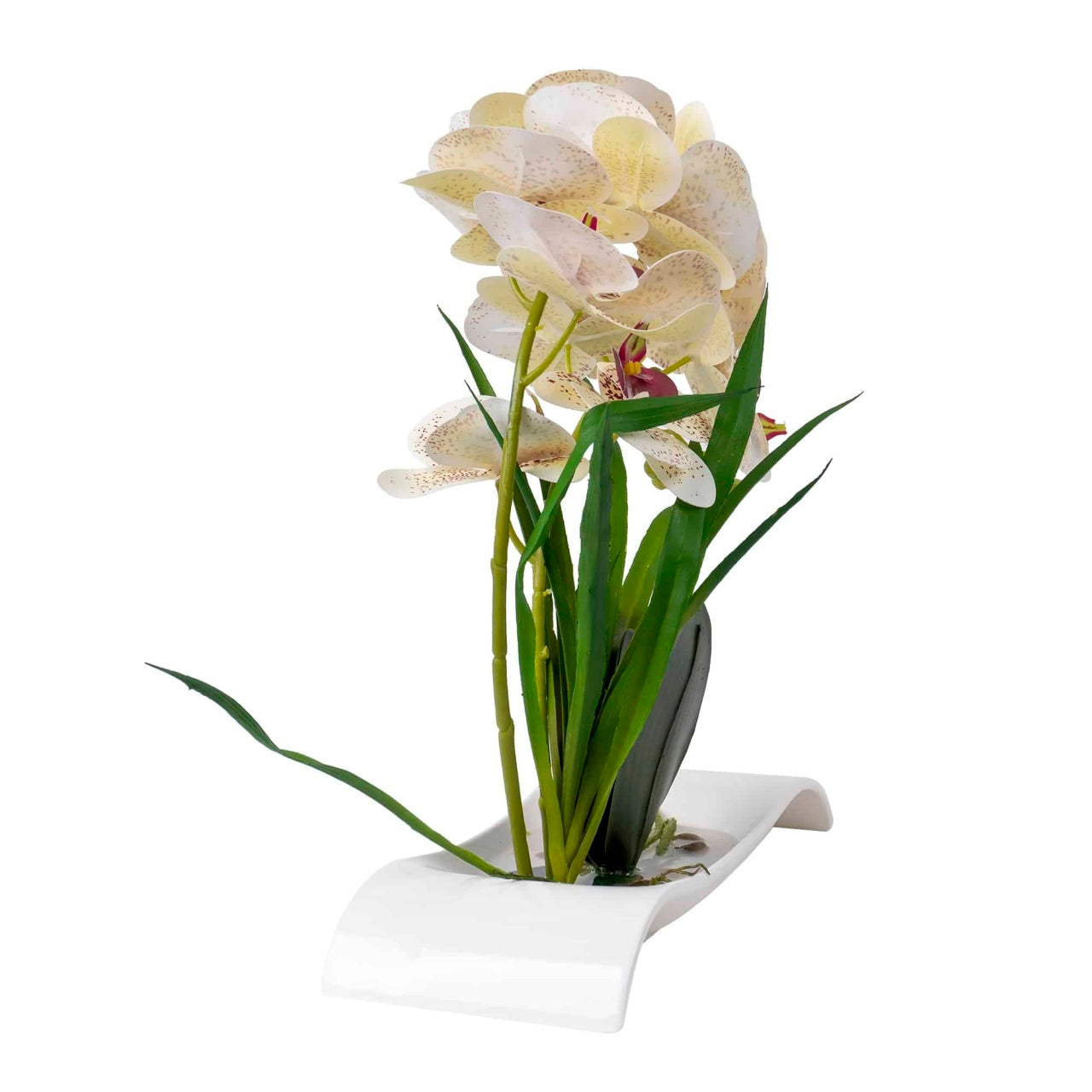 Orhidee artificiala in ghiveci dreptunghiular ceramica alba, H 40 cm
