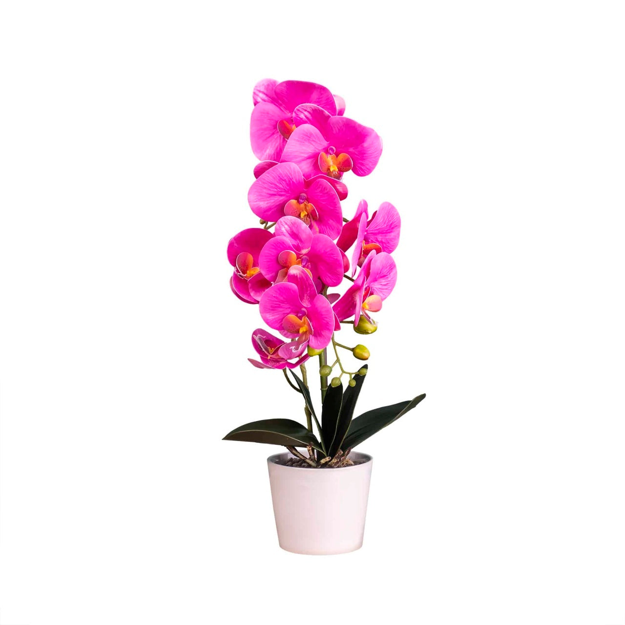 Orhidee artificiala naturala in ghiveci ceramic alb, inaltime 47 cm