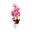 Orhidee cu aspect natural in ghiveci ceramic alb, inaltime 47 cm
