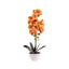 Orhidee cu aspect natural in ghiveci ceramic alb, inaltime 47 cm