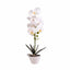 Orhidee cu aspect natural in ghiveci ceramic alb, inaltime 47 cm