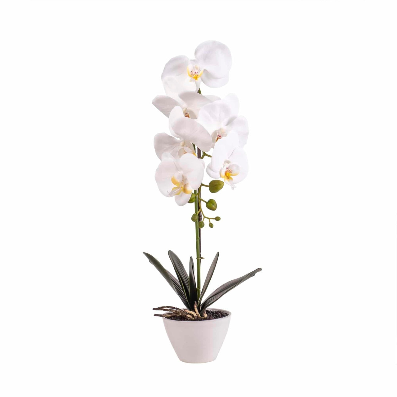 Orhidee cu aspect natural in ghiveci ceramic alb, inaltime 47 cm