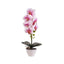 Orhidee cu aspect natural in ghiveci ceramic alb, inaltime 47 cm