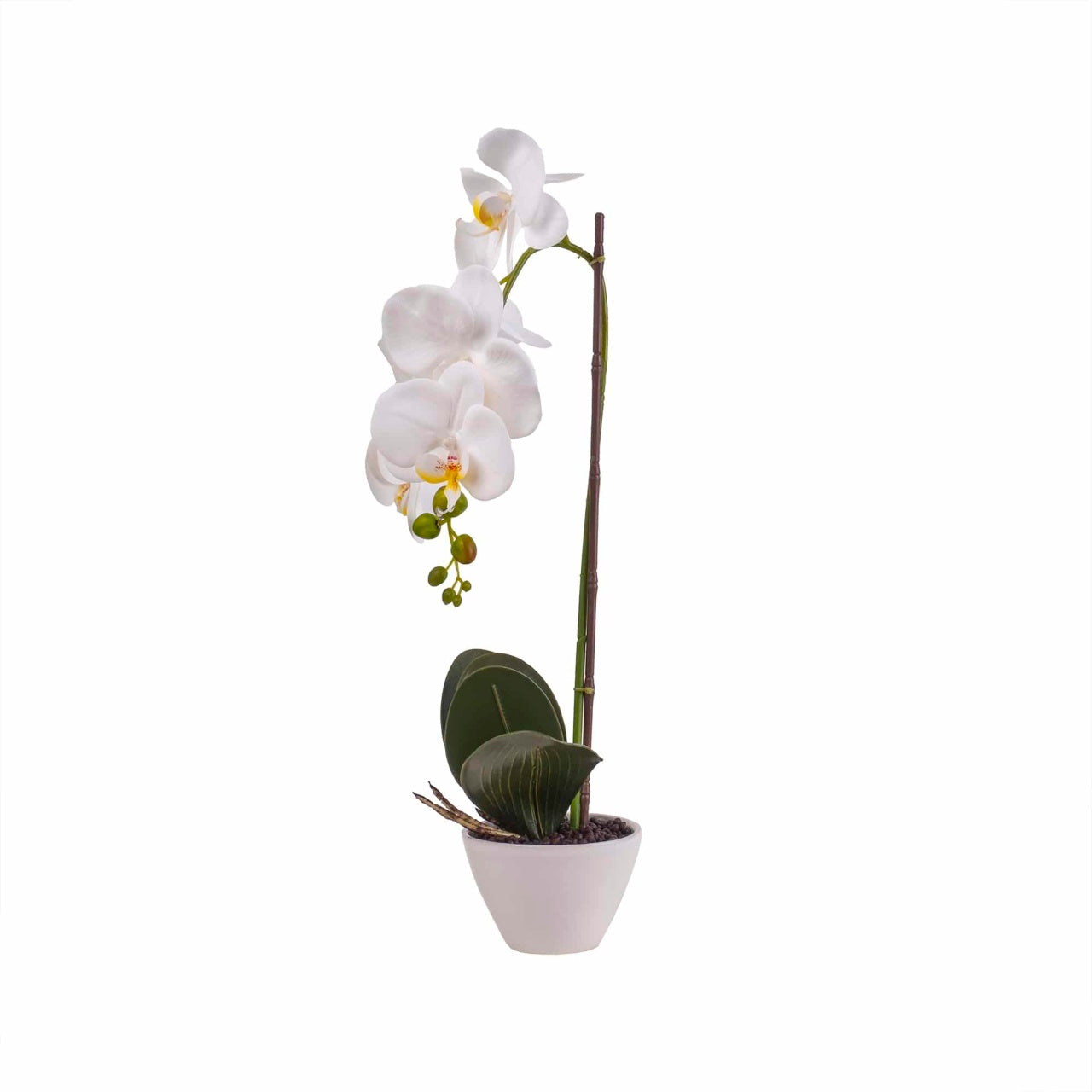 Orhidee cu aspect natural in ghiveci ceramic alb, inaltime 47 cm
