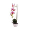 Orhidee cu aspect natural in ghiveci ceramic alb, inaltime 47 cm