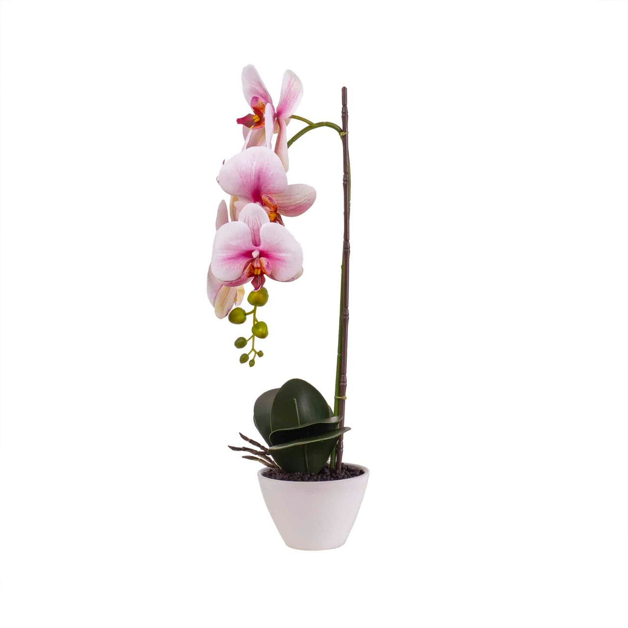 Orhidee cu aspect natural in ghiveci ceramic alb, inaltime 47 cm