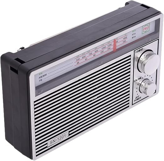 Radio portabil cu acumulator, AM/FM/SW3, Player muzical USB/SD, baterie reîncărcabilă, design portabil, argintiu