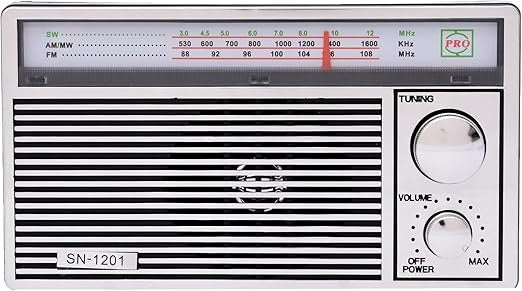 Radio portabil cu acumulator, AM/FM/SW3, Player muzical USB/SD, baterie reîncărcabilă, design portabil, argintiu