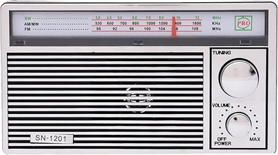 Radio portabil cu acumulator, AM/FM/SW3, Player muzical USB/SD, baterie reîncărcabilă, design portabil, argintiu