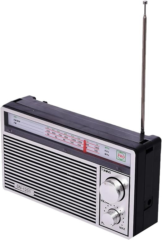 Radio portabil cu acumulator, AM/FM/SW3, Player muzical USB/SD, baterie reîncărcabilă, design portabil, argintiu