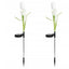 Set 2 lampi Solare Grădină Tip Lalea, 30 cm, 30 LM, Lumina Albă, Eco-Friendly