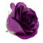 Set 25 trandafiri mari din sapun, parfum fin, violet