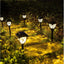 Set 6 lampi solare de gradina, tip tarus, autonomie 8 h, negru