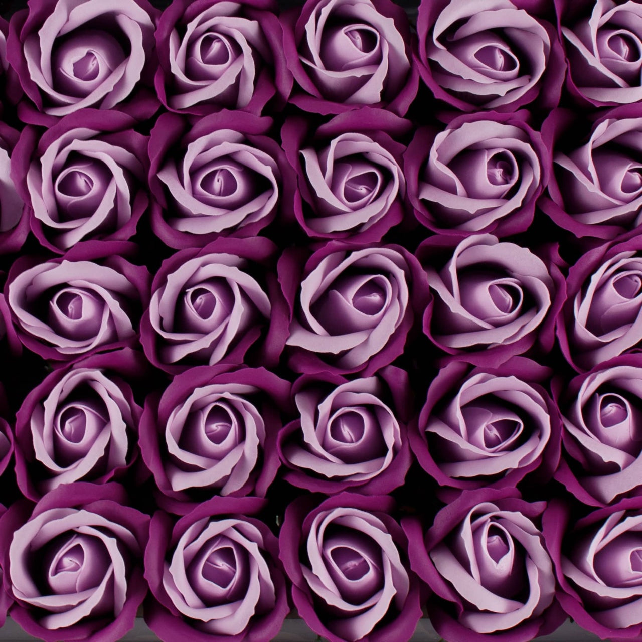 Trandafiri 2 culori din sapun, fucsia-lila prafuit, set 50 bucati