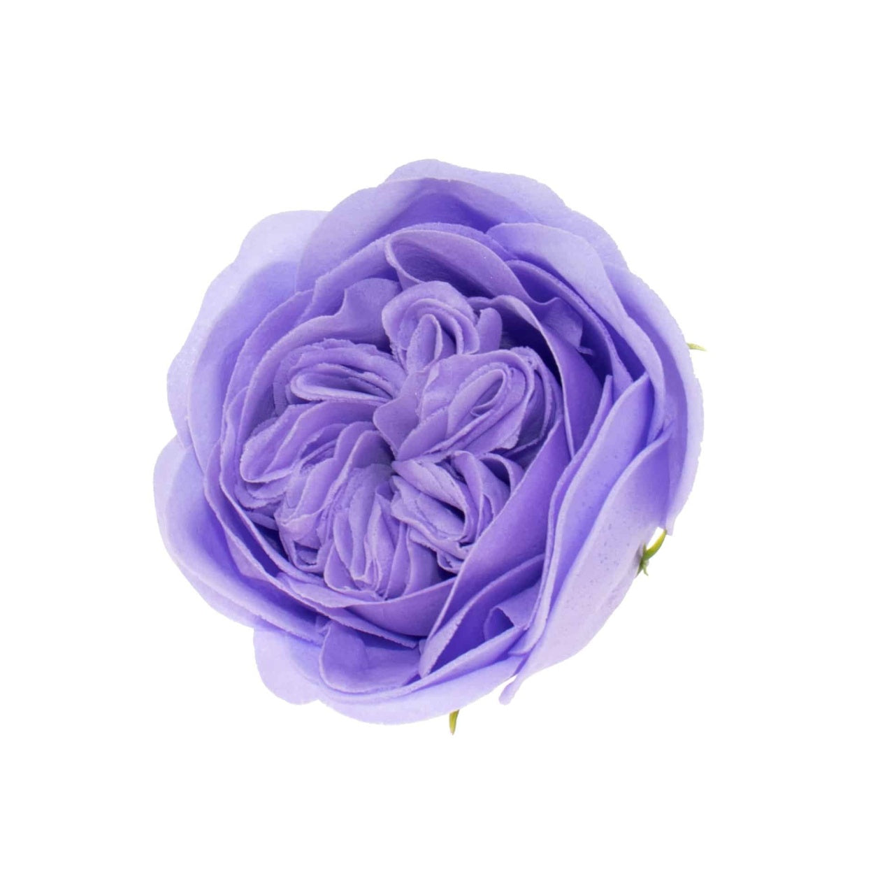 Trandafiri de gradina din sapun, set 16 bucati cu parfum fin