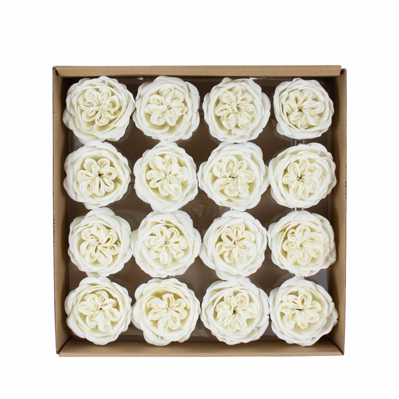 Trandafiri de gradina din sapun, set 16 bucati, parfum fin, alb