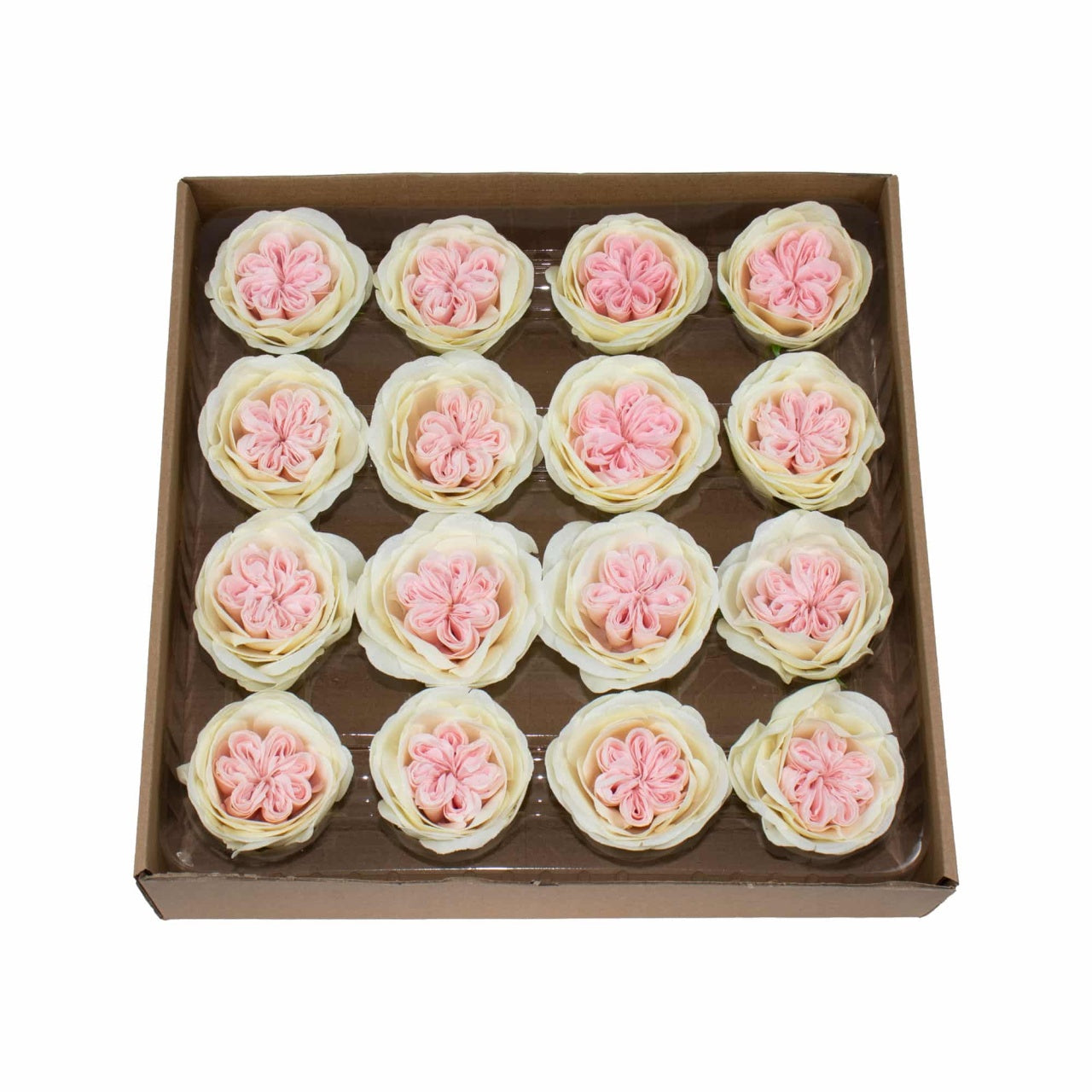 Trandafiri de gradina din sapun, set 16 bucati, parfum fin, crem-roz
