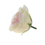 Trandafiri de gradina din sapun, set 16 bucati, parfum fin, crem-roz