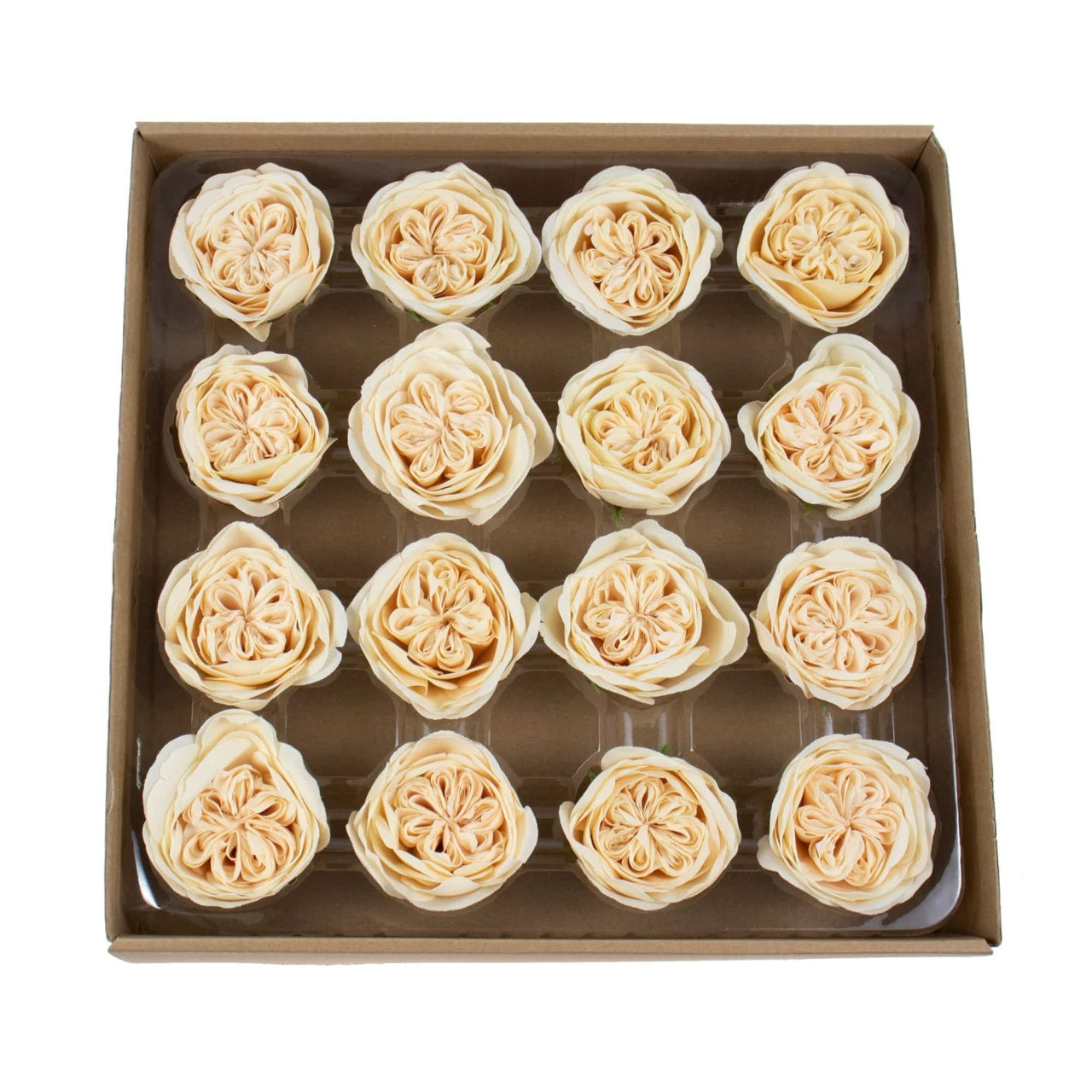 Trandafiri de gradina din sapun, set 16 bucati, parfum fin piersica