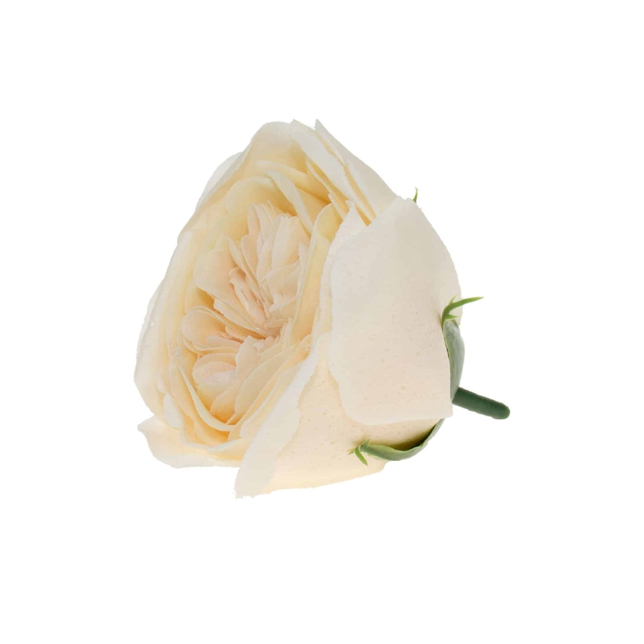 Trandafiri de gradina din sapun, set 16 bucati, parfum fin piersica