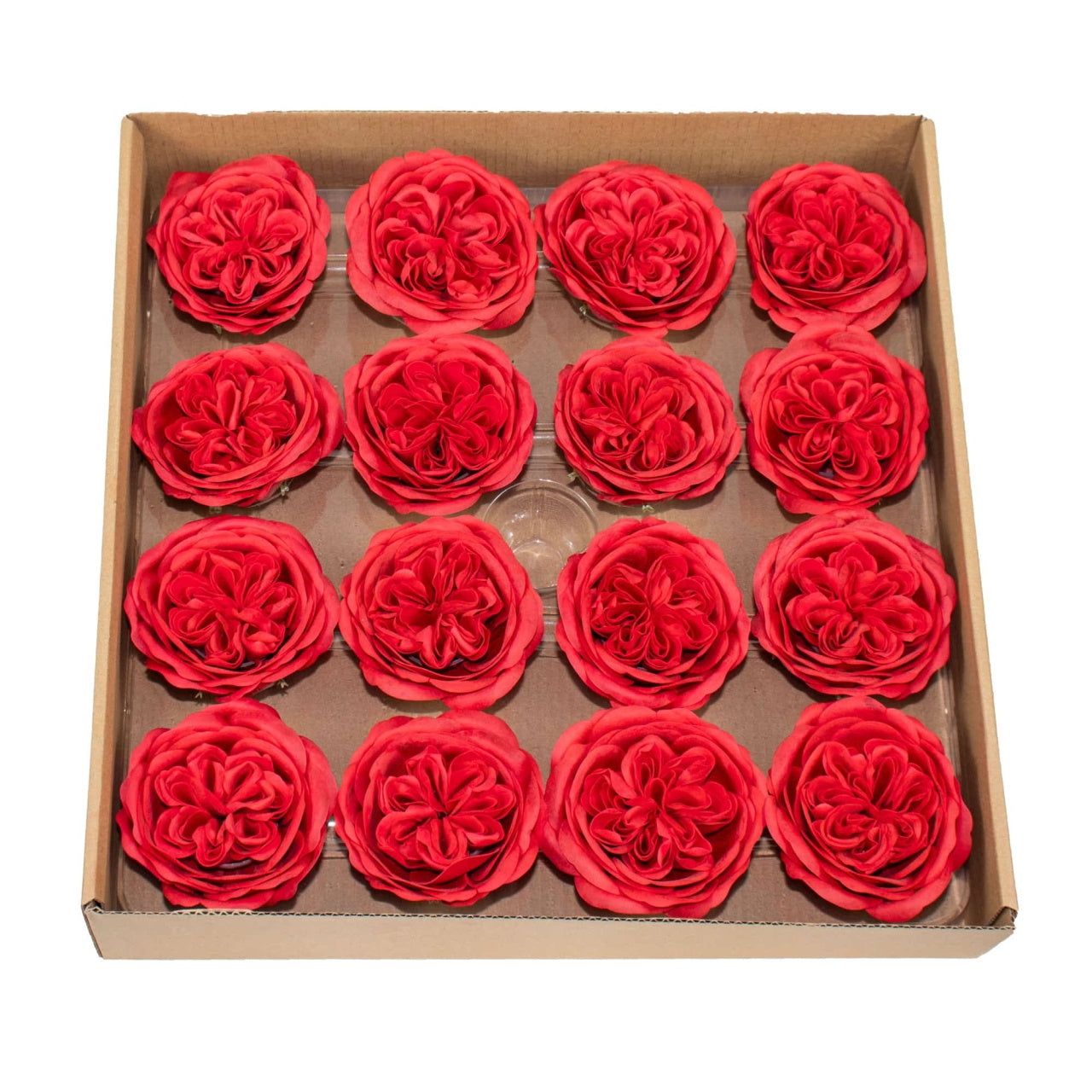 Trandafiri de gradina din sapun, set 16 bucati, parfum fin, rosii