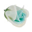 Trandafiri din sapun 2 culori verde fistic-alb, set 50 bucati