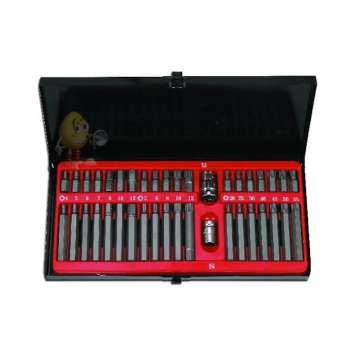 Trusa Biti Torx, cu 41 de piese, din metal, in cuite de protectie, argintiu