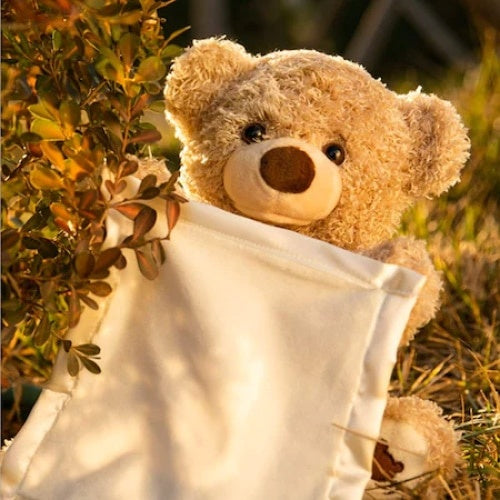 Ursulet de plus FOXMAG24, moale, interactiv, Cucu-Bau, canta si vorbeste, Peek a boo, crem, 30 cm